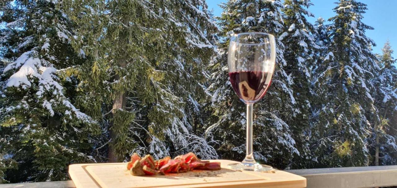 Fox Boutique Apartment Borovets Gardens Экстерьер фото