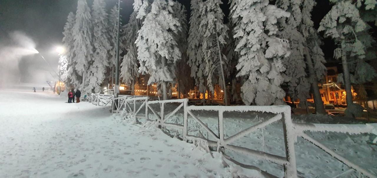 Fox Boutique Apartment Borovets Gardens Экстерьер фото
